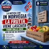 Norvegia: quando la frutta in eccesso viene lasciata fuori per essere condivisa