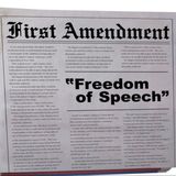 Which Americans Think We Have Too Much Freedom?