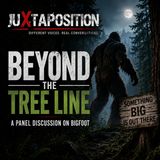 Juxtaposition 07-25-26 -- Beyond the Tree Line