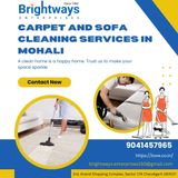 Eco-Friendly Sofa Cleaning in Chandigarh – Safe for Kids & Pets
