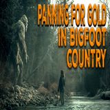 Panning for Gold in Bigfoot Country