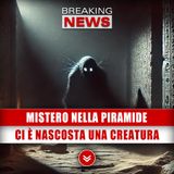 Mistero Inquietante Nella Piramide: Nascosta Una Creatura All'Interno!