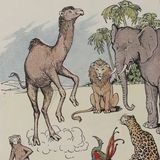 De Aap en de Kameel | Aesopus Fabels
