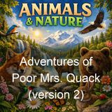 Adventures of Poor Mrs Quack version 2 - Thornton W Burgess
