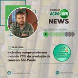 Exportações de carne de frango alcançam maior preço médio em dois anos