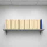 One Different Folder on the Shelf — How to Become a Total Failure