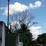 La sombra del cenote