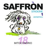 SAFFRON_S1-E18