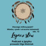 Dlaczego milkną języki?  Władza, rynek i utracona tożsamość