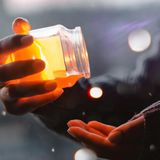 Pappa reale e propoli: i preziosi doni delle api per energia, difese e benessere