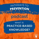 #2 What is PBK?  Understanding the value of practice-based knowledge