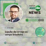 Soja: avanço da colheita pressiona preços no mercado interno