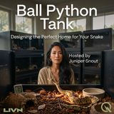 Ball Python Tank - Create the Perfect Home with Juniper Snout