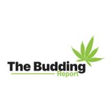 TBR114|Marijuana Bill Approved Allowing Dispensary Research|Joe Coats and Chase Nobels of Kush com