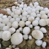 Ice balls on the beach of Hailuoto Island