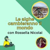 Le alghe cambieranno il mondo - con Rossella Nicolai