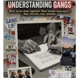 Vice Lords-When Help and Harm Wear the Same Uniform