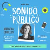 Marcela Cubillos en "El proceso constituyente"