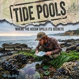 Tide Pools - Living on the Edge: The Zones of Survival