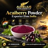 Top Benefits of Acaiberry Powder for Everyday Nutrition