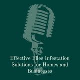Effective Flies Infestation Solutions for Homes and Businesses