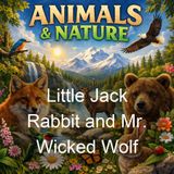 Little Jack Rabbit and Mr Wicked Wolf - David Cory