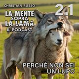 2.1 | Perché non sei un lupo
