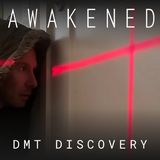 DMT Discovery: DMT Laser Experiment, Code of Reality, Simulation Theory, Psychedelics, & The Awakening w/ Adam Butler & Danny Goler