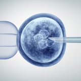 Editing Human Embryos