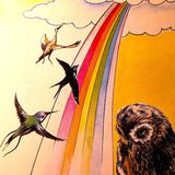 Il colibrì e il colore degli uccelli - Leggenda degli indios Calchaquì