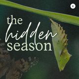 The Hidden Season | Jon Koo