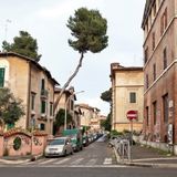 #337 Cadono alberi, piovono sentenze e altre storie di Roma