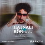 Figura: Nagyon el tudok merülni az alkotásban | Park FM – Hajnali Kör