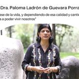 La Ruta del Manatí T1 Ep7 Dra. Paloma Ladron de Guevara