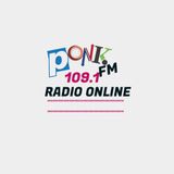 mega mix vibes on ponk FM 109.1 mix by DJ Crossix
