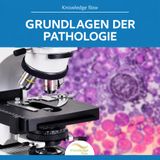 Grundlagen der Pathologie: Krankheiten und ihre Ursachen verstehen