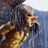 Wing of Predator - 226 - Predators