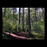 Douglas Creek Chum Run