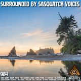 Researchers Trigger Massive Bigfoot Vocalization Event In The Olympic Peninsula