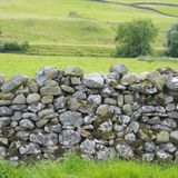 Meriggiare pallido e assorto di Montale: significato e analisi