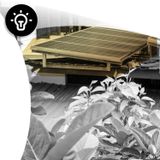 #348 Solar Cloud de Iberdrola: qué es y cómo funciona