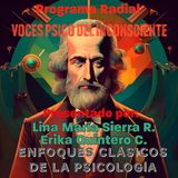 PROGRAMA RADIAL VOCES  INCONSCIENTES