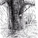 Piglet Is Entirely Surrounded By Water | Winnie The Pooh Stories