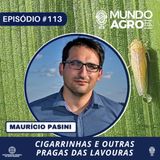 #113 MAP SUGADORES, COLEÓPTEORS OUTROS COM DR. MAURÍCIO PASINI