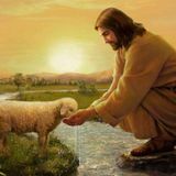 Episodio 1007 - A LOS PIES DEL MAESTRO