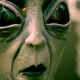 Aliens Among Us | Harvard Study Cryptoterrestrials UFO UAP Podcasts