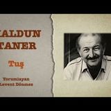 Haldun Taner - Tuş