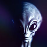 Aliens Encounters during UFO Sightings