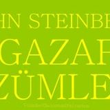GAZAP ÜZÜMLERİ   JOHN STEINBECK ( 2. BÖLÜM- SON )