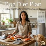 Dog Diet Plan - The Senior Dog Nutrition Playbook: Eating Well in the Golden Years